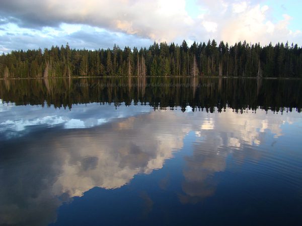 Merrill Lake Campground Picturesque Vancouver Island Camping